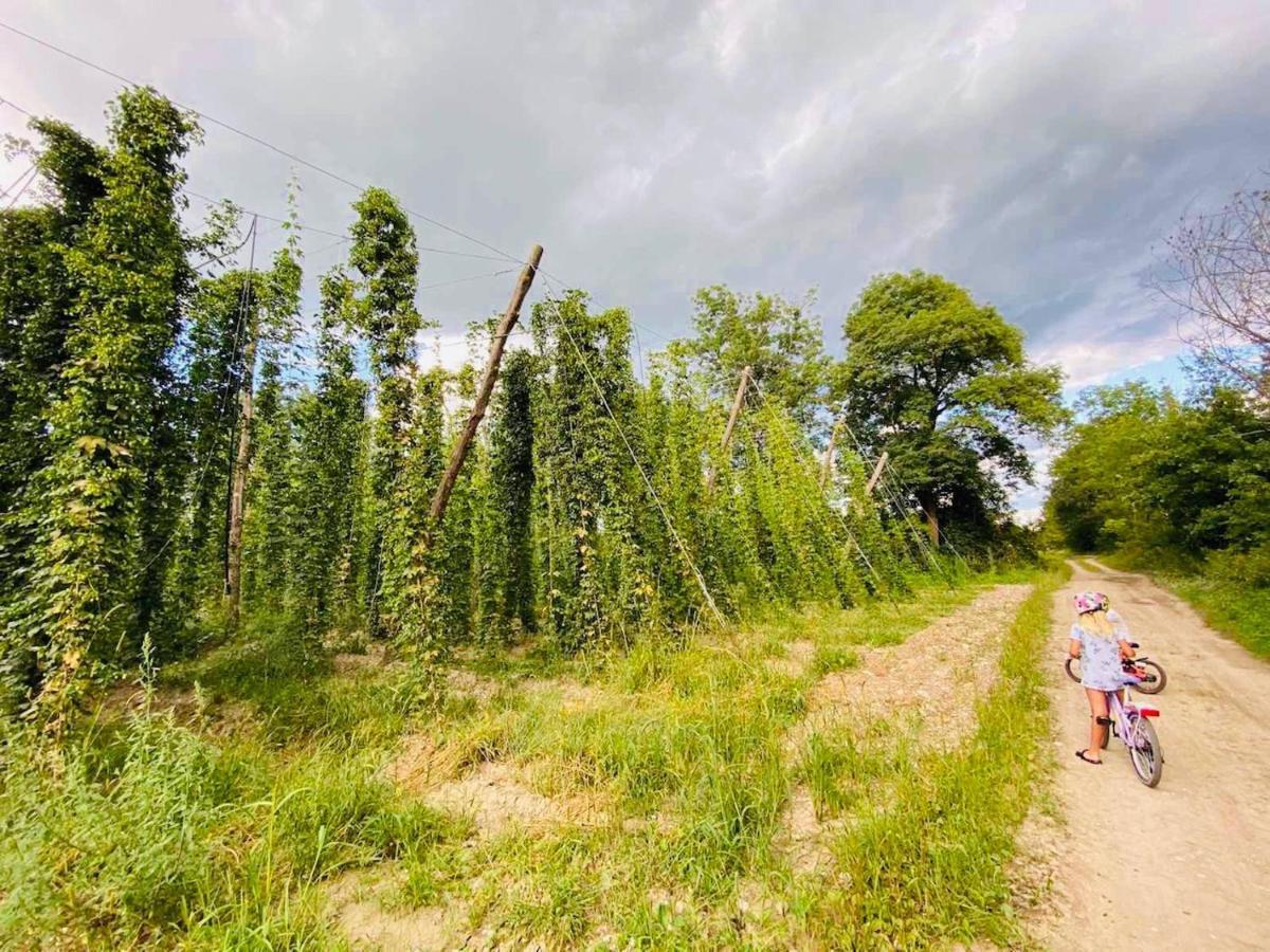 Greenvalleyglamping Sesce Pri Preboldu Eksteriør billede